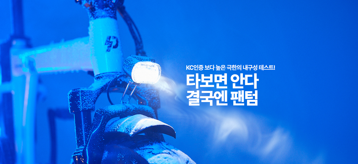 결국엔팬텀